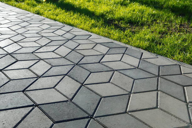 Best Driveway Paving Contractor  in Rodney Village, DE