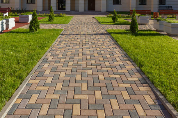 Best Concrete Paver Driveway  in Rodney Village, DE